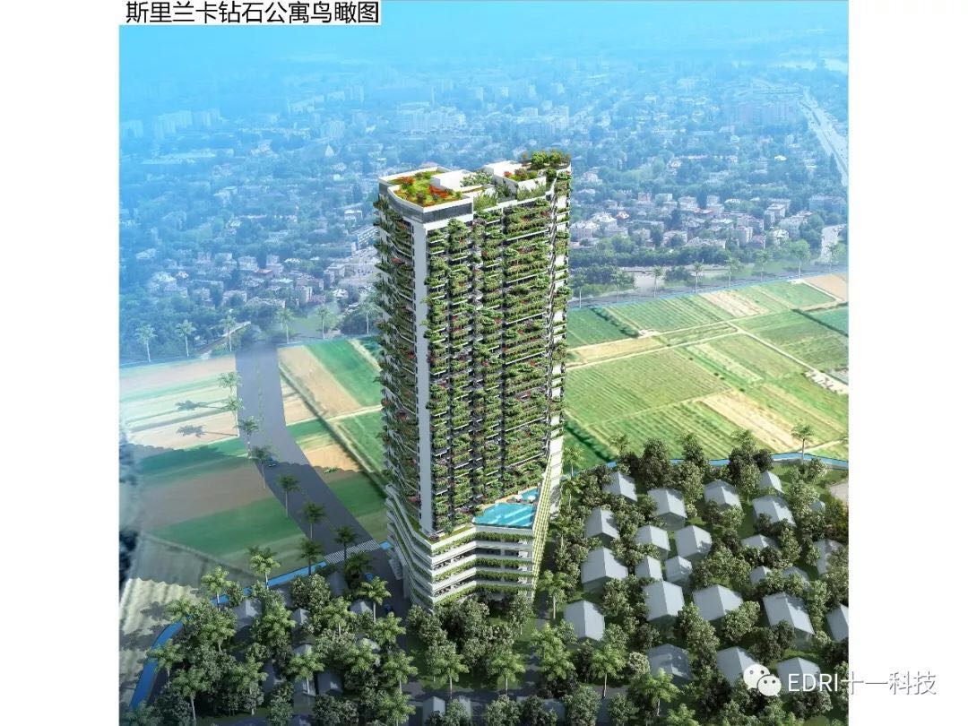 1517295533470855.jpg 5.jpg